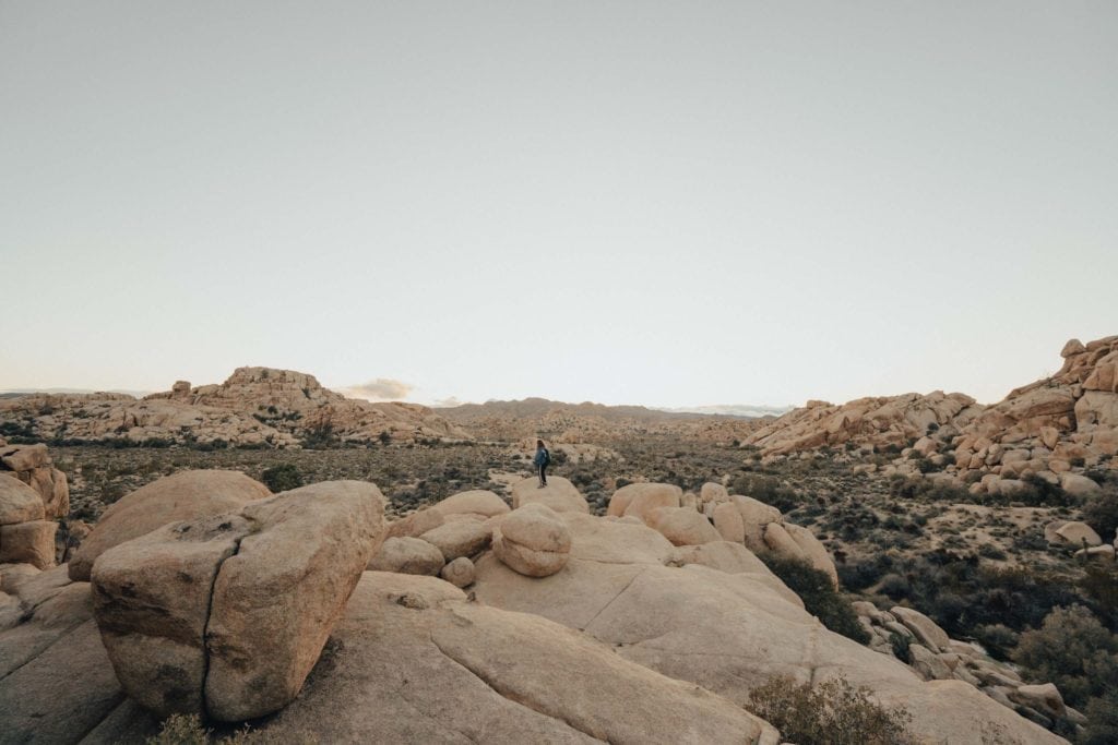 Joshua Tree National Park in California, one of the best places to elope.