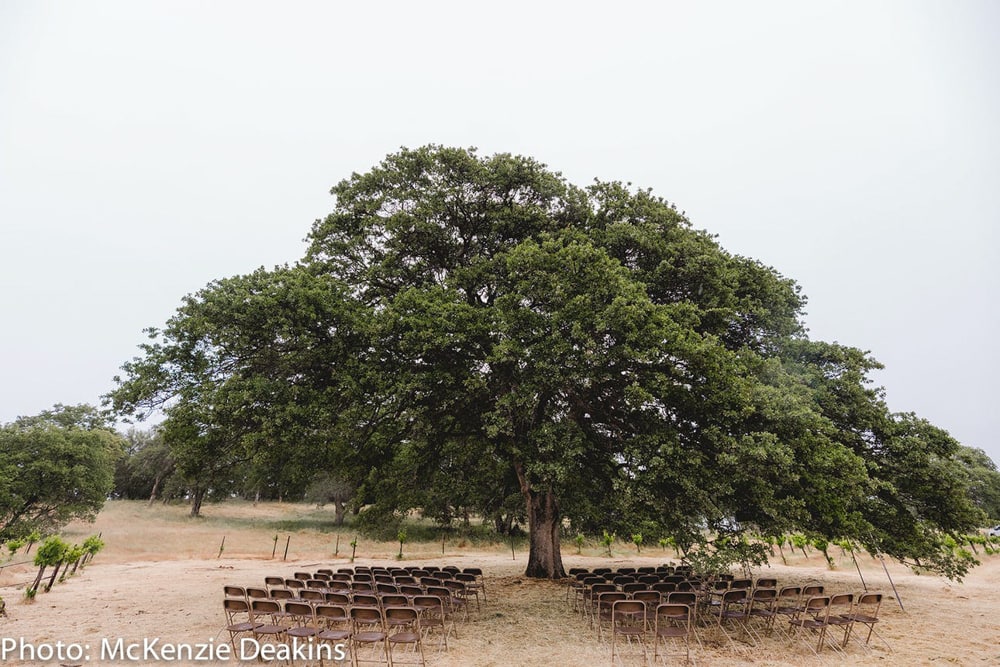Rows of chairs lined up in front of a tree at River Highlands Ranch and Vineyard, a Sacramento wedding venue.