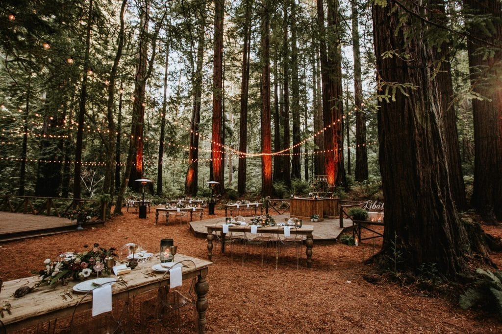 How to Plan a Forest Wedding or Elopement in 2023 [Venues + Packages]