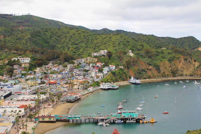 The Best Catalina Island Elopement Guide for 2024