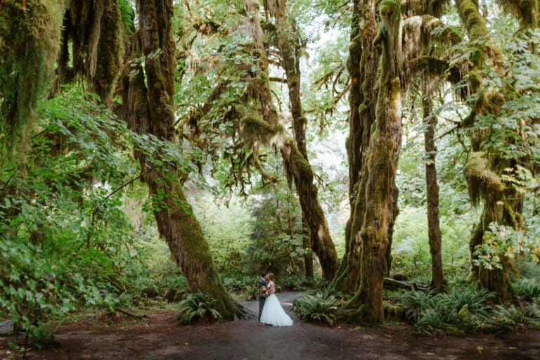 Ultimate Hoh Rainforest Elopement and Wedding Guide for 2024