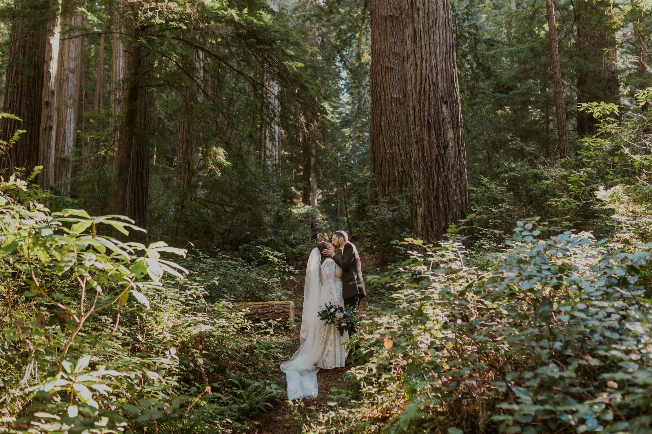 A bride and groom kissing in Redwood National Park.