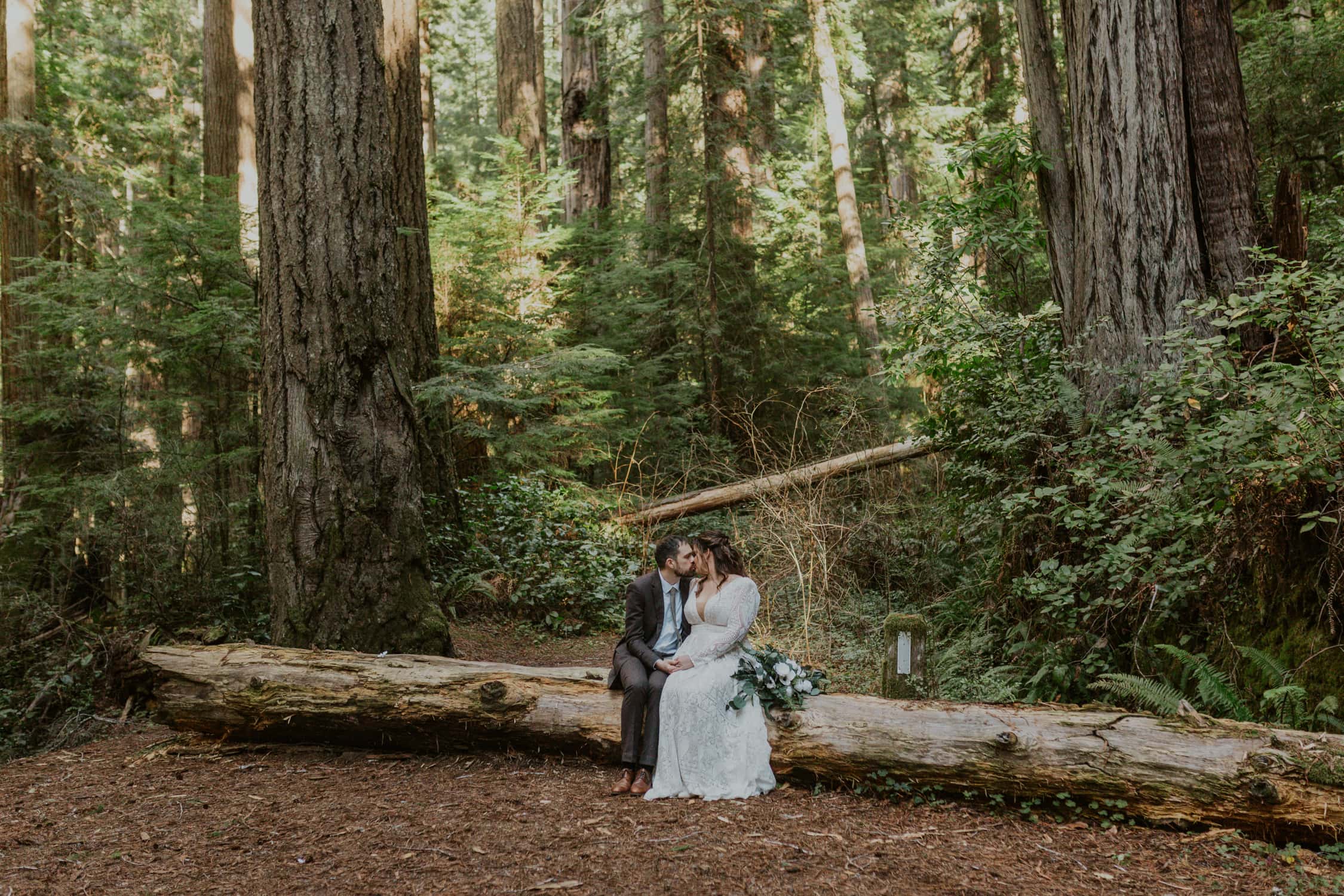 A bride and groom sitting on a log and kissing in Redwood National Park.