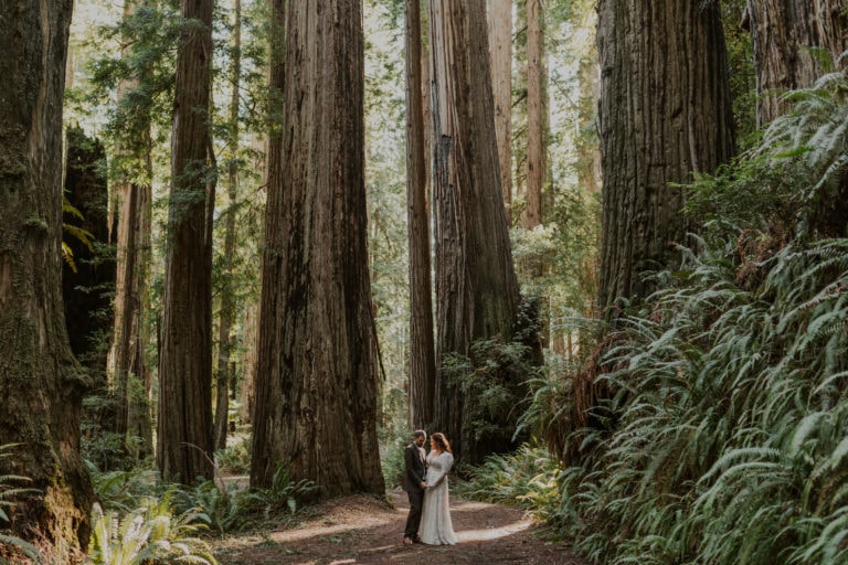 The Ultimate Redwoods Elopement Guide for 2023 (How to Elope in Redwood National Park)