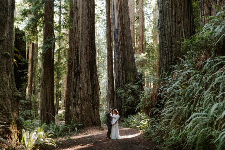 The Best Redwoods Elopement Guide for 2024 (How to Elope in Redwood National Park)