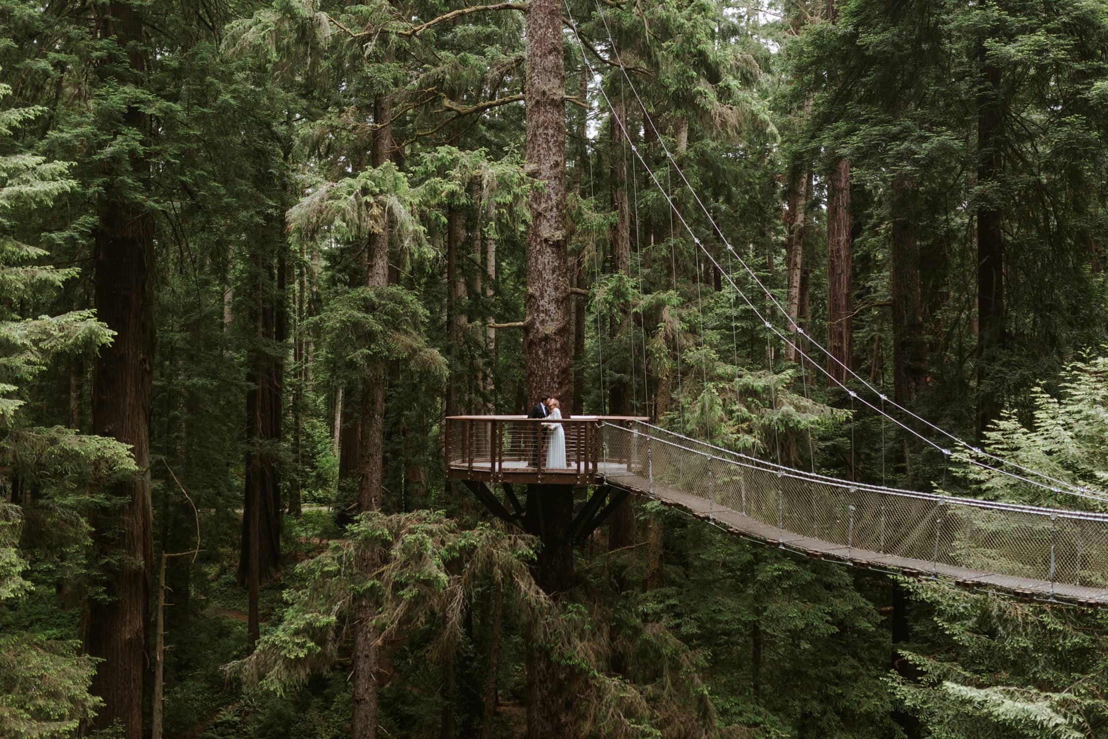A couple in wedding attire kissing on a suspension bridge in Redwood National Park.
