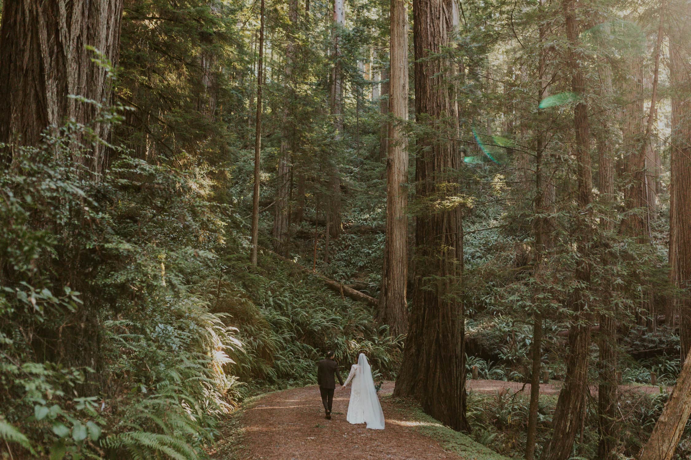 A bride and groom holding hands and walking through the redwoods.
