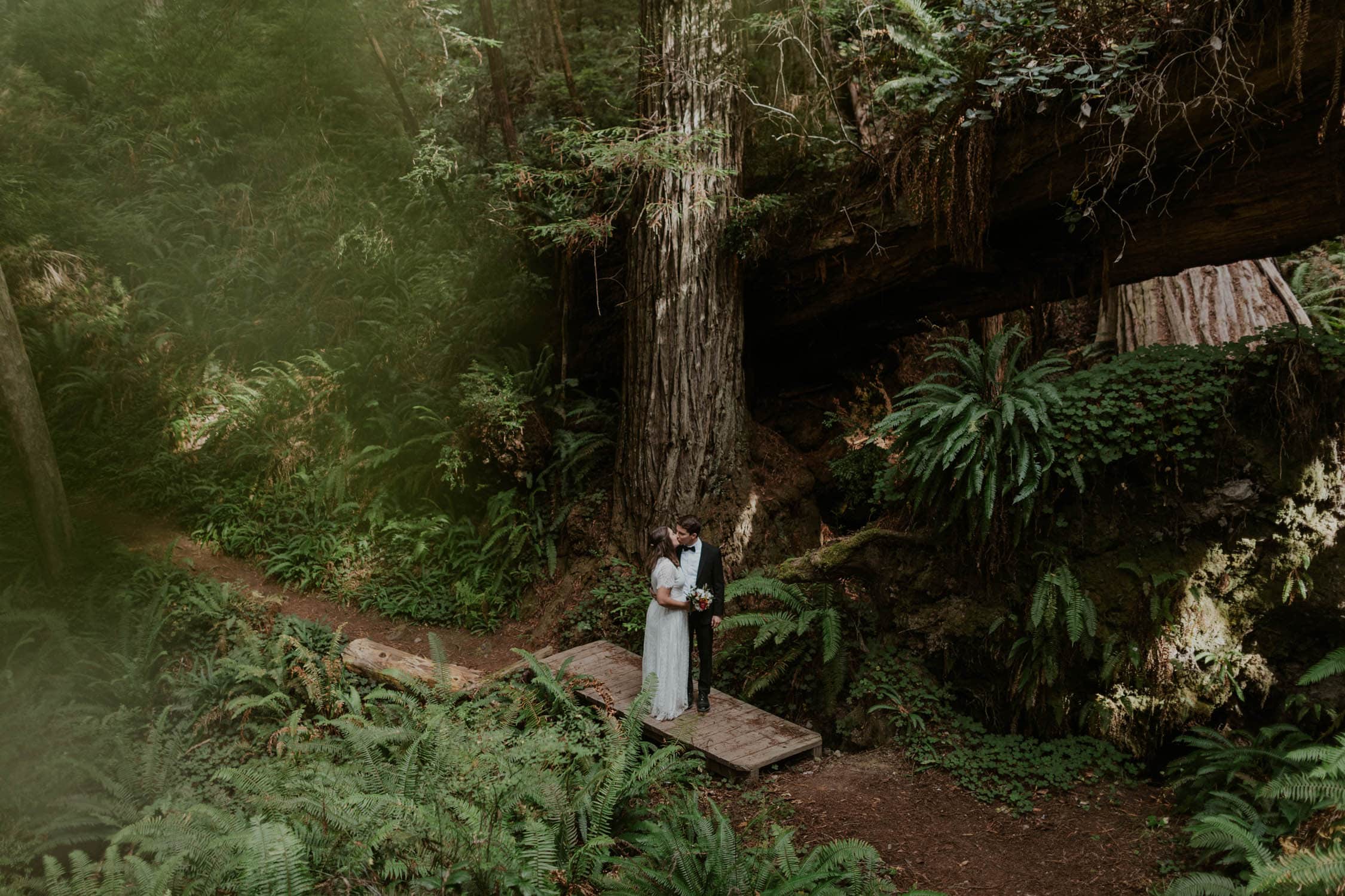 A couple in wedding attire kissing on a bridge in Redwood National Park.