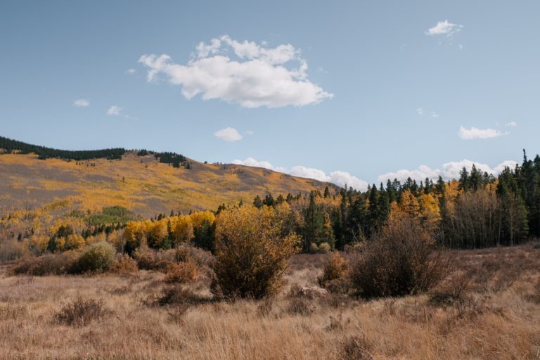 The Ultimate Telluride Elopement Guide for 2023
