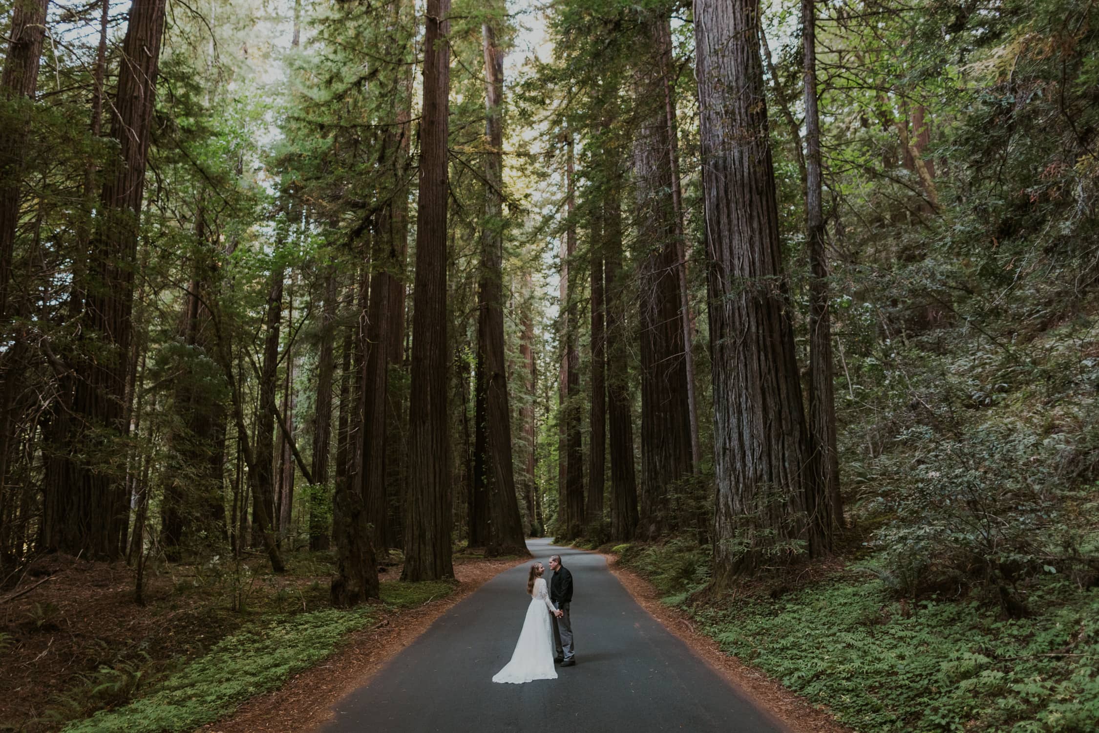 A bride and groom holding hands and facing each other in Redwoods National Park.