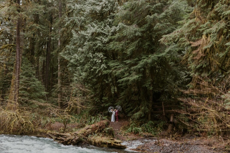 Moody Marymere Falls Elopement in Olympic National Park