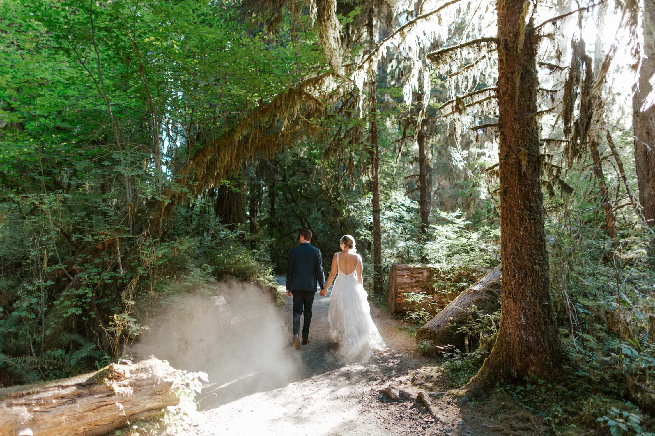 A couple in wedding attire holding hands and walking away from the camera in the Hoh Rainforest.