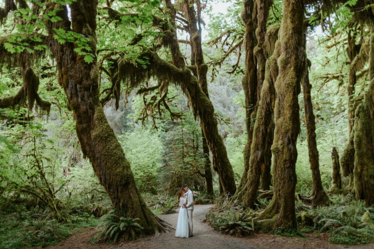 Magical Hoh Rainforest Elopement in Olympic National Park