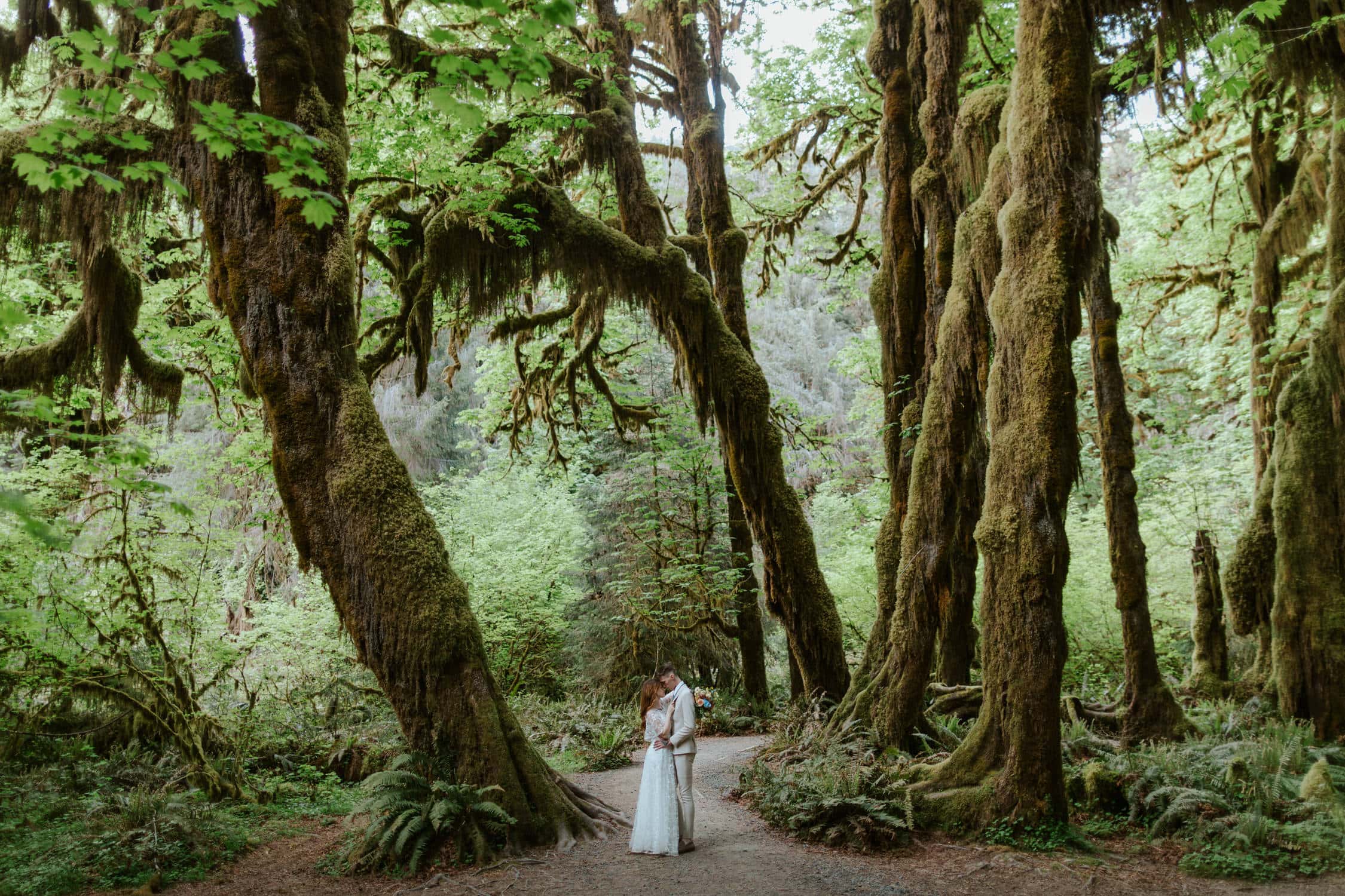 A bride and groom hugging each other in the Hoh Rainforest on their elopement day.
