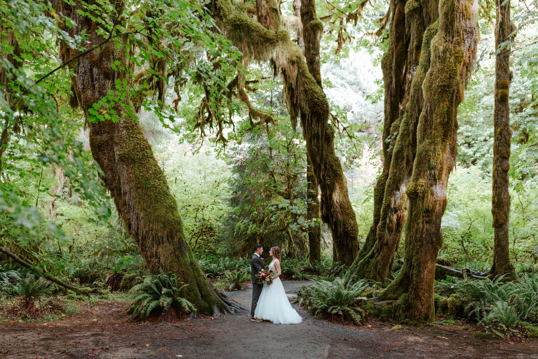 A couple on their wedding day looking at each other in the Hoh Rainforest.