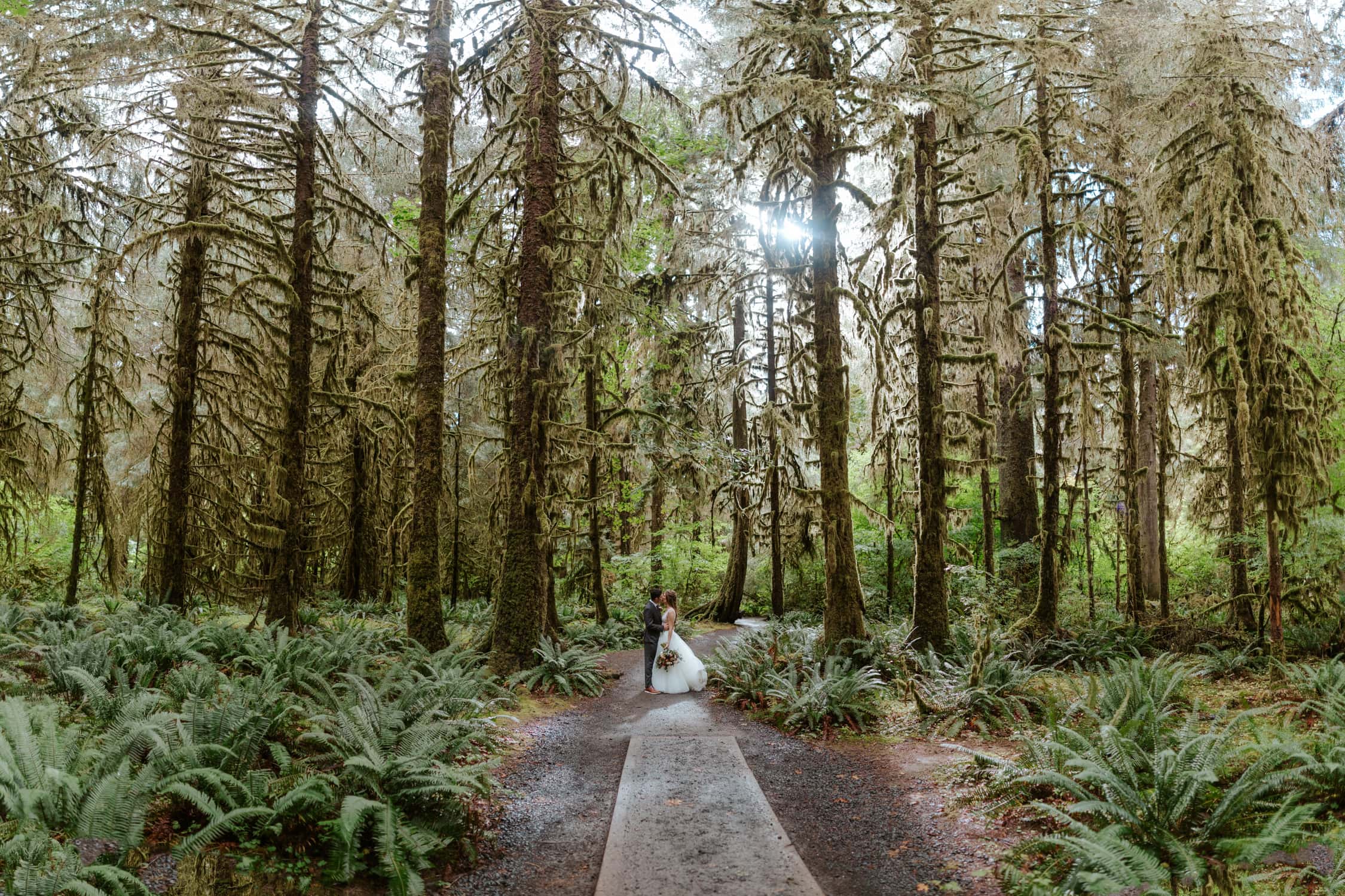 A couple kissing on their wedding day in the Hoh Rainforest.