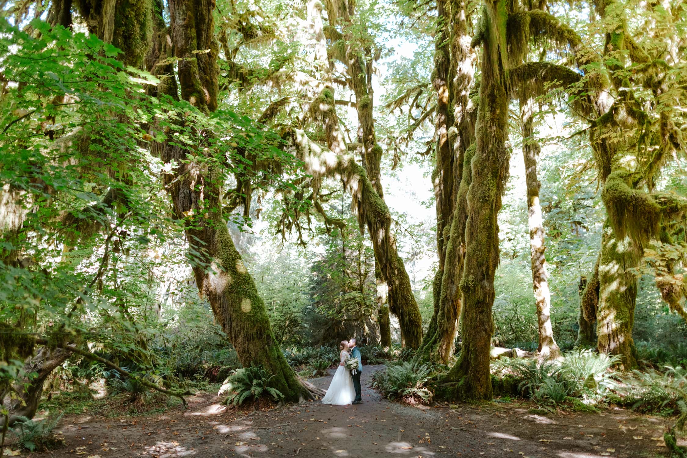 A bride and groom kissing in the Hall of Mosses in the Hoh Rainforest.