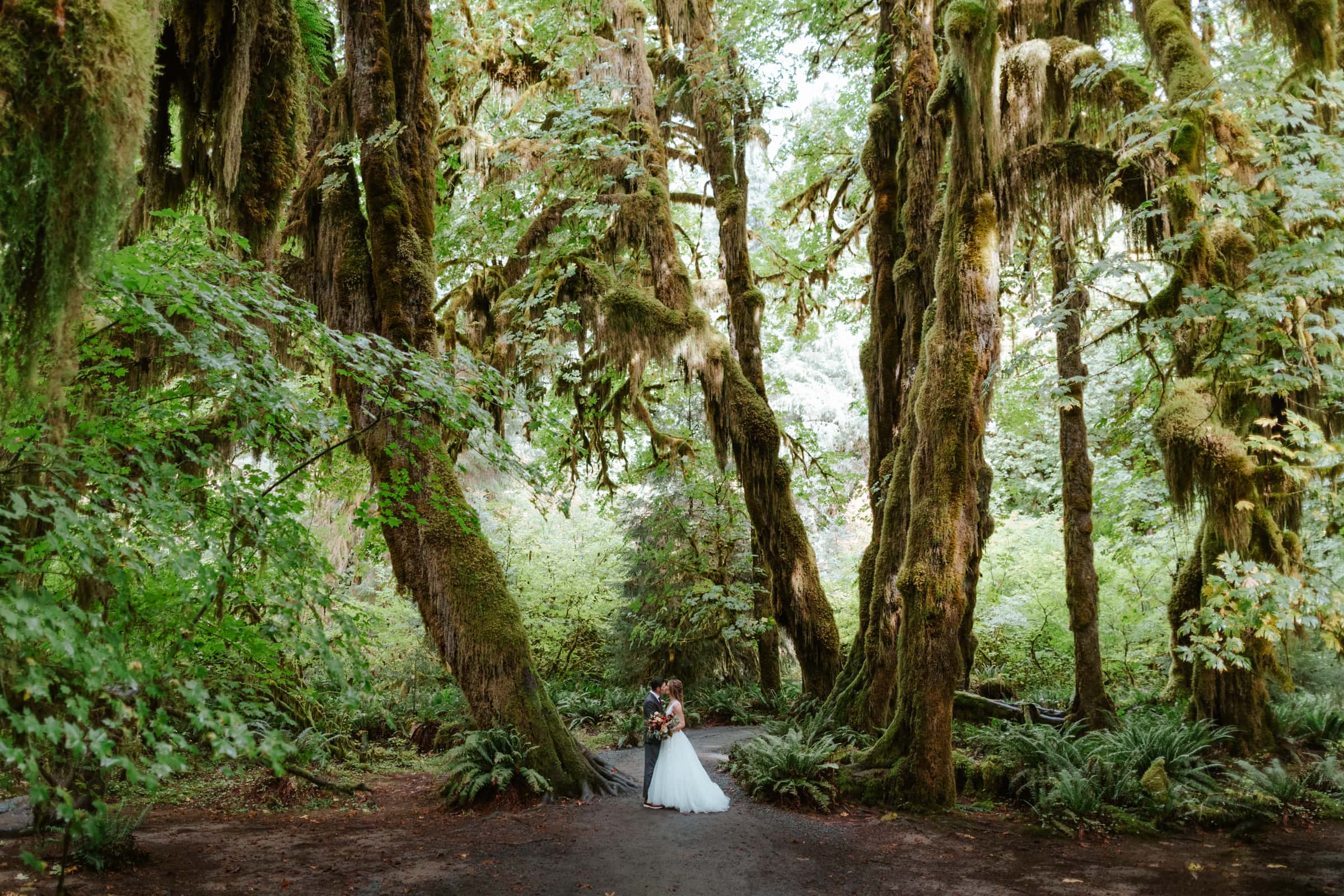 A bride and groom kissing between two mossy green trees along the Hall of Mosses Trail in the Hoh Rainforest.