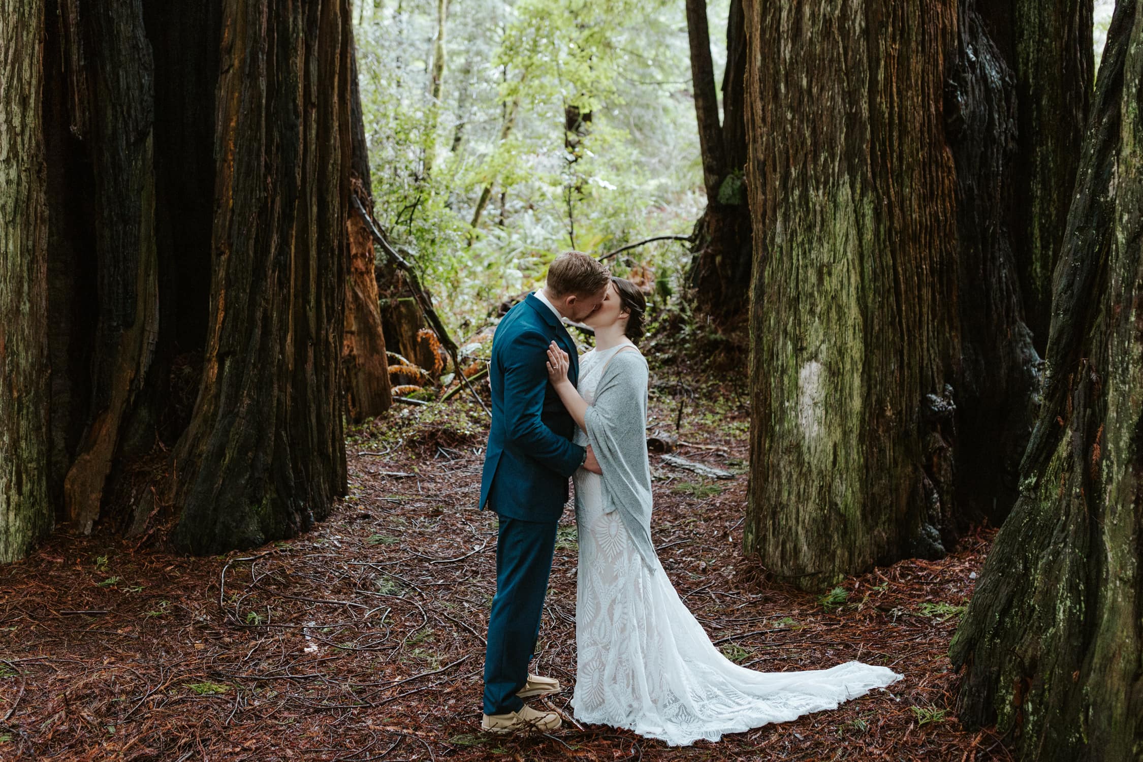 A bride and groom kissing in Templeman Grove in Redwood National Park.