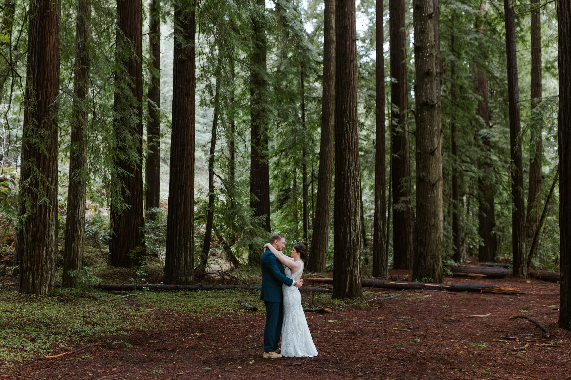 A bride and groom sharing a first dance in Templeman Grove in Redwood National Park.