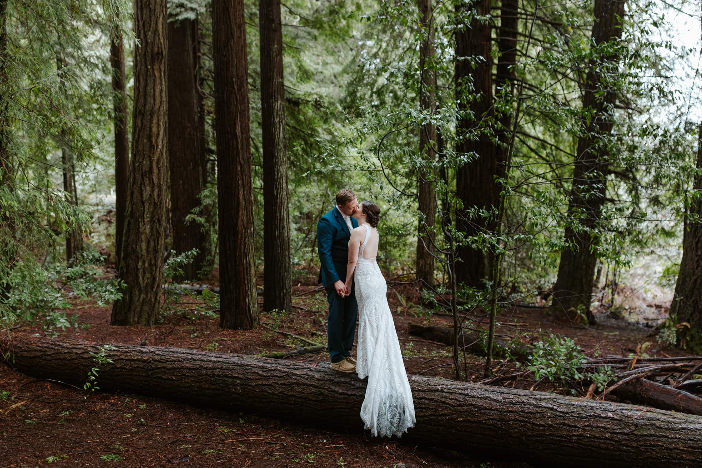 A bride and groom standing on top of a fallen redwood log and kissing in Templeman Grove in Redwood National Park.